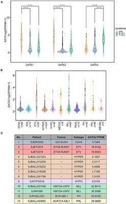 Aberrant GATA2 Activation in Pediatric B-Cell Acute Lymphoblastic Leukemia